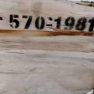 CAT Genuine new 5701981 570-1981