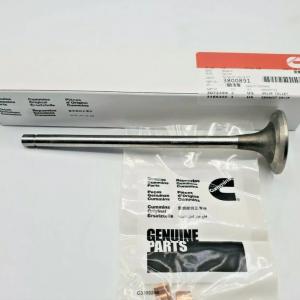 CUMMINS GENUINE ACCESSORY 3800891