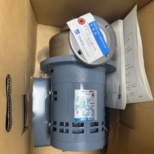 EBARA water pump 40SCD6.4200V, 520W, 60Hz