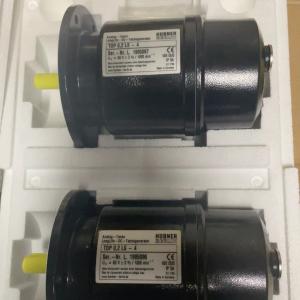 HUBNER tdp0.2LS-4 Speed Motor