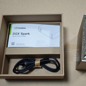 NVIDIA DGX Spark GB10