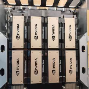 NVIDIA H20 141g module